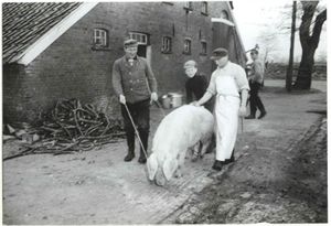 Schlachten bei B. Alber.jpg