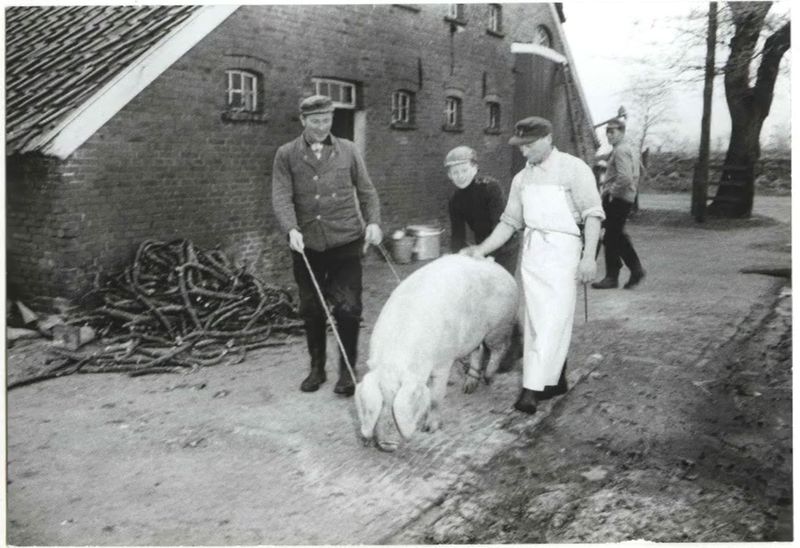 Datei:Schlachten bei B. Alber.jpg