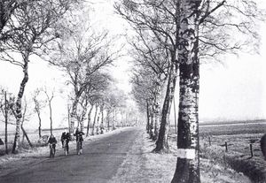 Klinkerstraße (K 111) mit Birkenallee.jpg
