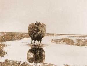 Heuwagen Sandwater.jpg