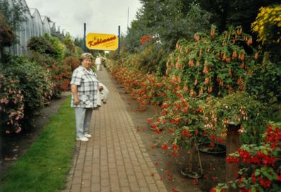 Fuchsienschau bei der Gärtnerei Kuhlmann im Jahr 2005