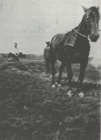 Datei:Teemen.jpg