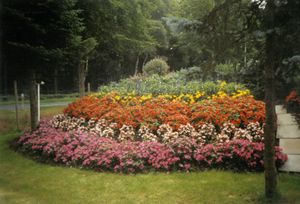 Fuchsienschau bei der Gärtnerei Kuhlmann im Jahr 2005 03.jpg