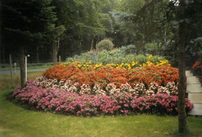 Fuchsienschau bei der Gärtnerei Kuhlmann im Jahr 2005