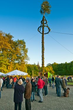 Ludwigsdorf Maibaum 2011