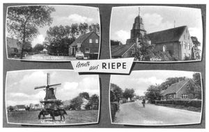 Postkarte 'Gruss aus Riepe'.jpg