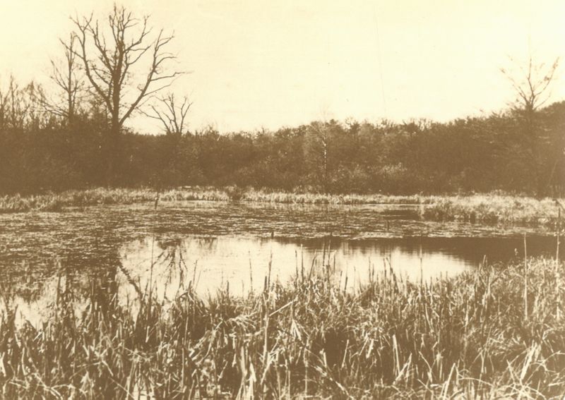 Datei:Ihlowerfehn - Gewässer.jpg