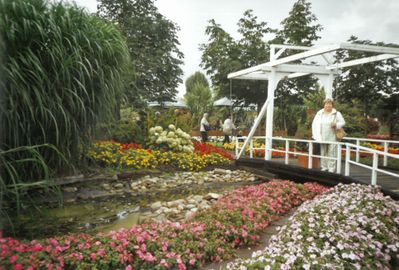 Fuchsienschau bei der Gärtnerei Kuhlmann im Jahr 2005