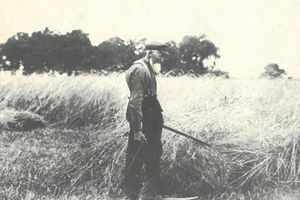 Sichten - Coob Buß, Königsbargen.jpg