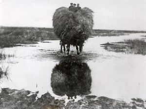 Heuernte am sandwater um193.jpg