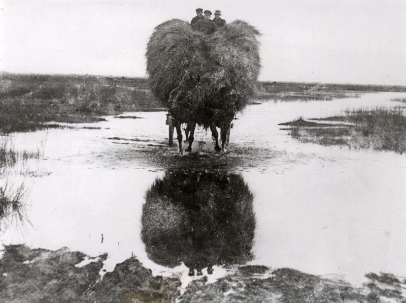 Datei:Heuernte am sandwater um193.jpg
