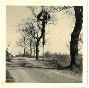 Maibaum vor der Gaststätte Geeske Kruse, ca. 1965.jpg