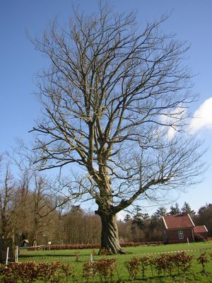 HTG121204 011.jpg