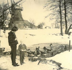 Die ersten Kanadagänse in Simonswolde im Jahr 1966.jpg