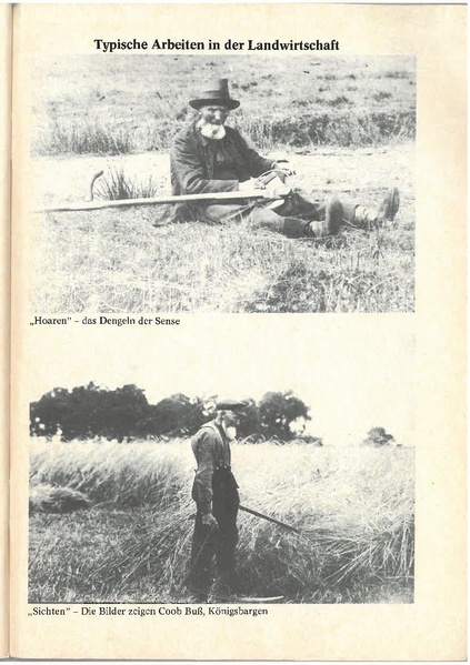 Datei:Ihlowerfehn 1780 - 1980.pdf