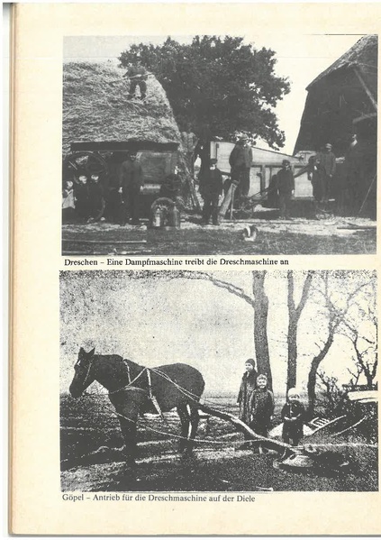 Datei:Ihlowerfehn 1780 - 1980.pdf