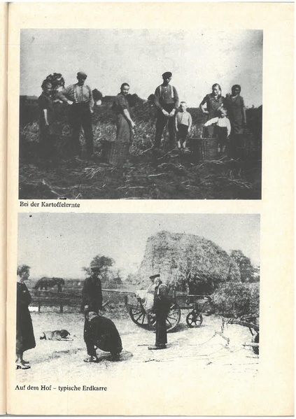 Datei:Ihlowerfehn 1780 - 1980.pdf