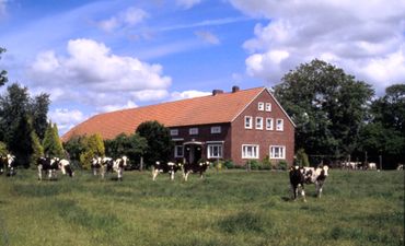 Bauernhof im Sommer.