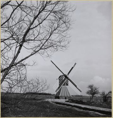 Kokermühle Riepe aus dem Jahr 1983