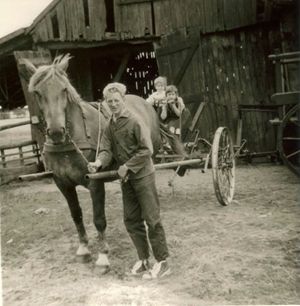 Vom Pferd gezogenen Forkmaschine.jpg