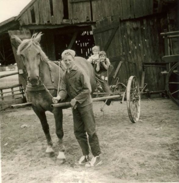 Datei:Vom Pferd gezogenen Forkmaschine.jpg