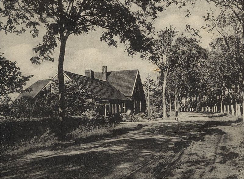 Datei:GESCHAEFTSHAUS DE BOER WEST.jpg