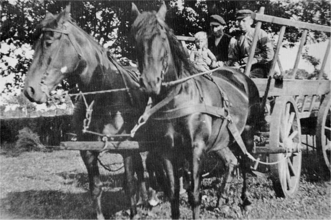 Pferdegespann mit Heuwagen.