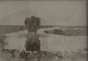 Heuernte am Sandwater.jpg