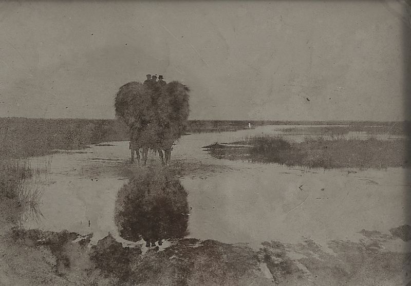 Datei:Heuernte am Sandwater.jpg