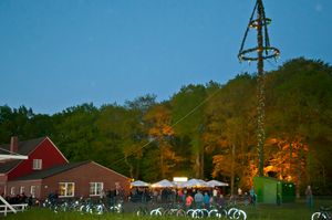 Maibaum in Ihlowerfehn.jpg