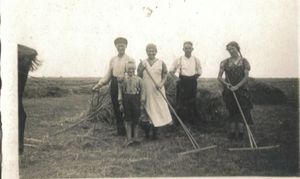 Die ganze Familie hilft bei der Heuernte.jpg