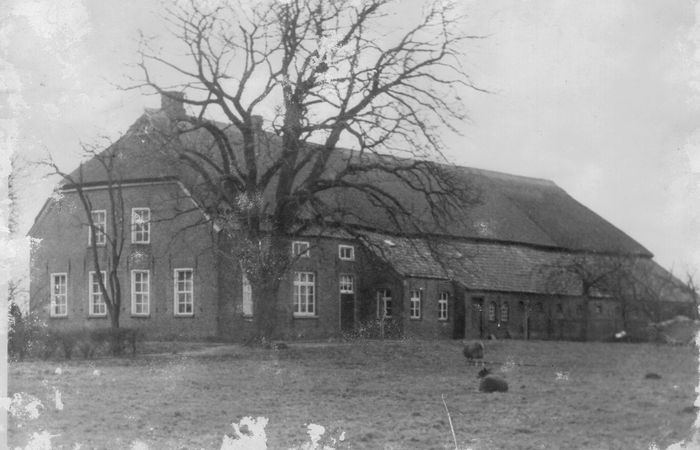 Hof Harm Auts 1957