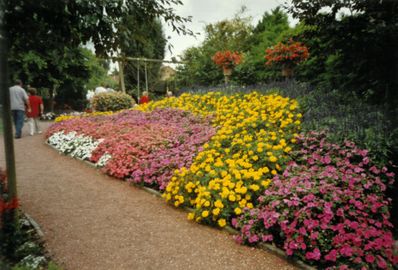 Fuchsienschau bei der Gärtnerei Kuhlmann im Jahr 2005