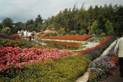 Fuchsienschau bei der Gärtnerei Kuhlmann im Jahr 2005