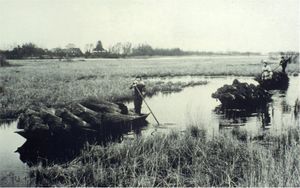 Reithtransport in juellen a.jpg