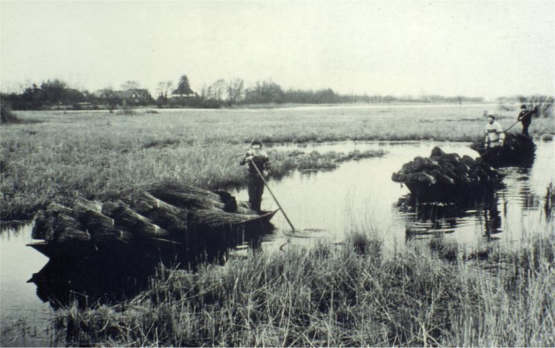 Datei:Reithtransport in juellen a.jpg