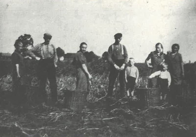 Datei:Bei der Kartoffelernte.jpg