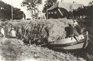 Ihlowerfehn - bei der Arbeit.jpg