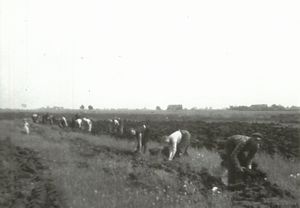 Torfstechen in Bangstede am Totenweg - 6.jpg
