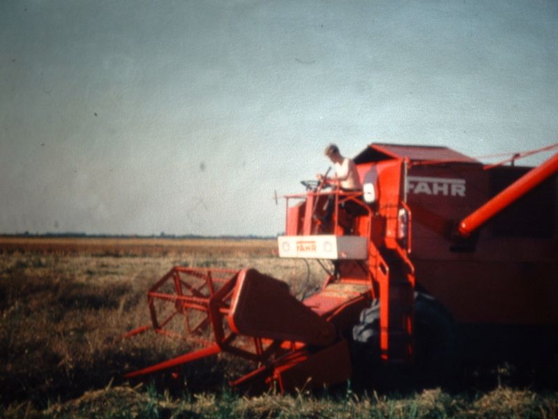 Datei:Riepsterhammrich 05.jpg
