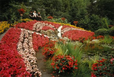 Fuchsienschau bei der Gärtnerei Kuhlmann im Jahr 2005