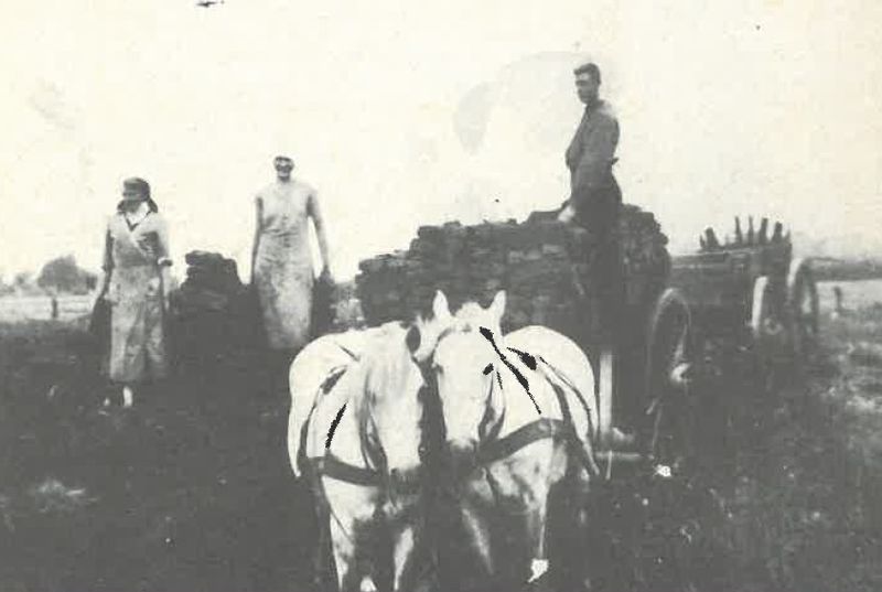 Datei:Torfabfahren.jpg